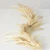Kirkland's Home Natural Plume Grass And Berries Garland- Arrangements & Greenery