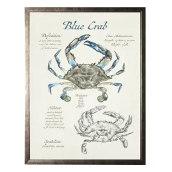 Kirkland's Home Nature Study Of A Blue Crab Framed Art Print- Framed Art
