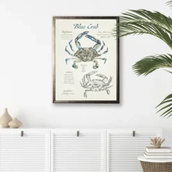 Kirkland's Home Nature Study Of A Blue Crab Framed Art Print- Framed Art