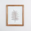 Kirkland's Home Neutral Fern Ii Framed Art Print- Framed Art