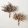 Kirkland's Home Neutral Pampas Grass Bundles, Set Of 2- Stems & Bouquets