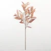 Kirkland's Home Neutral Willow Eucalyptus Stem- Stems & Bouquets