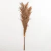 Kirkland's Home Nutmeg Pampas Grass Bundle- Stems & Bouquets