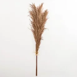 Kirkland's Home Nutmeg Pampas Grass Bundle- Stems & Bouquets