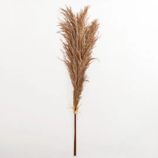 Kirkland's Home Nutmeg Pampas Grass Bundle- Stems & Bouquets