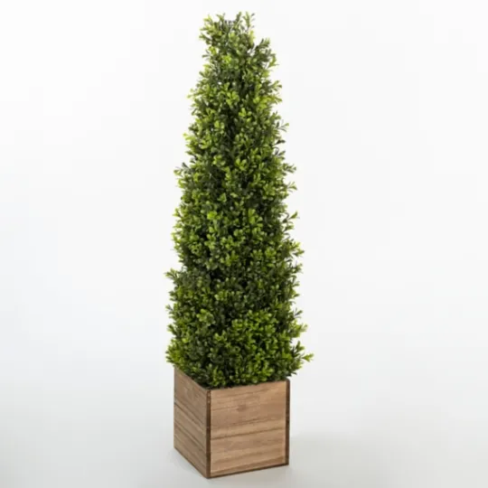Kirkland's Home Obelisk Boxwood Topiary In Wood Box, 36 In.- Trees & Topiaries