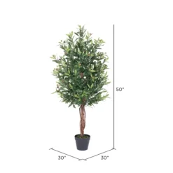 Kirkland's Home Olive Tree In Black Planter, 50 In.- Trees & Topiaries