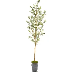 Kirkland's Home Olive Tree In Mossy Metal Planter- Trees & Topiaries