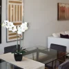 Kirkland's Home Orchid Arrangement In Black Pot- Arrangements & Greenery