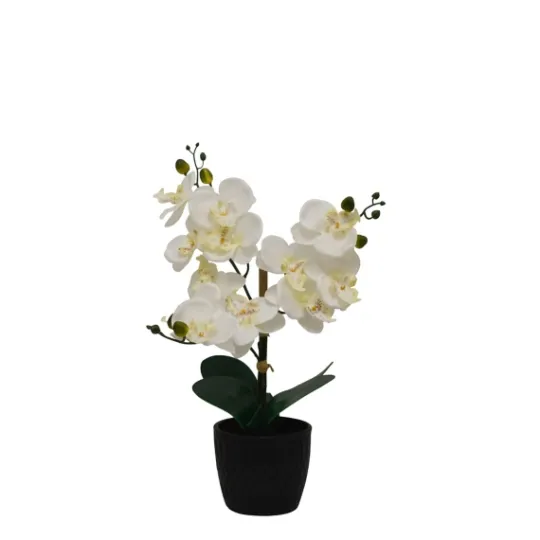 Kirkland's Home Orchid Arrangement In Black Decorative Pot- Arrangements & Greenery