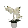 Kirkland's Home Orchid Arrangement In Decorative Pot- Arrangements & Greenery