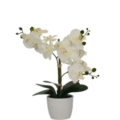 Kirkland's Home Orchid Arrangement In Decorative Pot- Arrangements & Greenery
