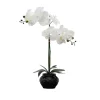 Kirkland's Home Orchid Arrangement In Floral Planter- Arrangements & Greenery