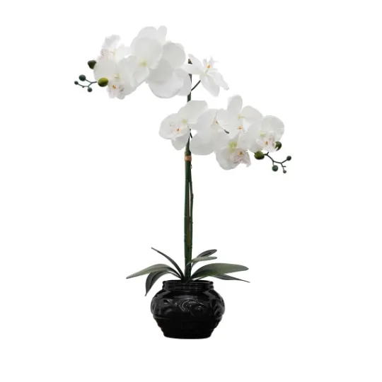 Kirkland's Home Orchid Arrangement In Floral Planter- Arrangements & Greenery