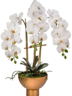 Kirkland's Home Orchid Arrangement In Gold Pot, 25 In.- Arrangements & Greenery