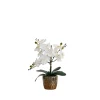 Kirkland's Home Orchid Arrangement In Gold Decorative Pot- Arrangements & Greenery