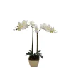 Kirkland's Home Orchid Arrangement In Gold Pot- Arrangements & Greenery