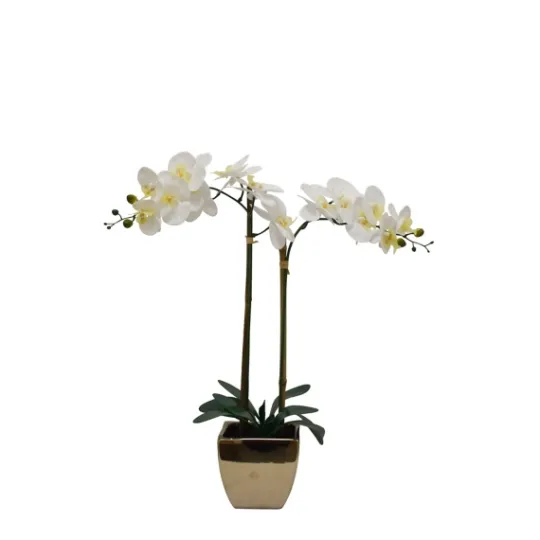 Kirkland's Home Orchid Arrangement In Gold Pot- Arrangements & Greenery