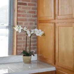 Kirkland's Home Orchid Arrangement In Gold Pot- Arrangements & Greenery