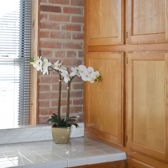 Kirkland's Home Orchid Arrangement In Gold Pot- Arrangements & Greenery