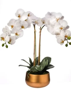 Kirkland's Home Orchid Arrangement In Gold Pot, 22 In.- Arrangements & Greenery