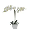 Kirkland's Home Orchid Arrangement In Pot- Arrangements & Greenery