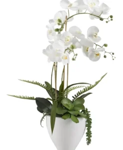 Kirkland's Home Orchids In Ceramic Bowl- Arrangements & Greenery