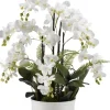 Kirkland's Home Orchids In Round Ceramic Dish- Arrangements & Greenery