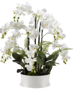 Kirkland's Home Orchids In Round Ceramic Dish- Arrangements & Greenery