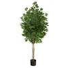 Kirkland's Home Outdoor Bright Green Ficus Tree, 64 In.- Trees & Topiaries