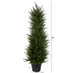 Kirkland's Home Outdoor Cypress Tree In Black Nursery Planter- Trees & Topiaries