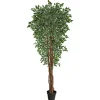 Kirkland's Home Outdoor Variegated Ficus Tree In Black Planter- Trees & Topiaries