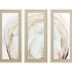 Kirkland's Home Oyster Shell 3-Pc. Framed Wall Art Set- Framed Art