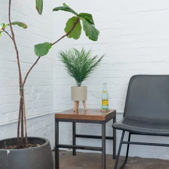 Kirkland's Home Palm Arrangement In Tan Footed Pot- Arrangements & Greenery