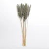 Kirkland's Home Pampas Bundle- Stems & Bouquets