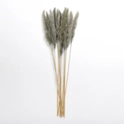 Kirkland's Home Pampas Bundle- Stems & Bouquets