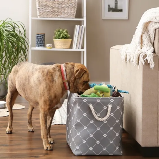 Kirkland's Home Paw Trellis Rectangle Basket, 17.5 In.- Baskets & Boxes