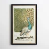 Kirkland's Home Peacock Framed Wall Art- Framed Art