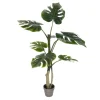 Kirkland's Home Philodendron Grand Split Potted Tree- Trees & Topiaries