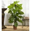 Kirkland's Home Philodendron In Terra Cotta Planter, 4 Ft.- Trees & Topiaries