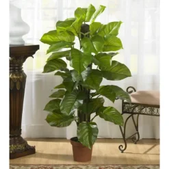 Kirkland's Home Philodendron In Terra Cotta Planter, 4 Ft.- Trees & Topiaries