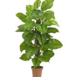 Kirkland's Home Philodendron In Terra Cotta Planter, 4 Ft.- Trees & Topiaries