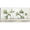 Kirkland's Home Plant Shelf Life Framed Canvas Art Print- Framed Art