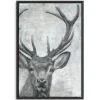 Kirkland's Home Portrait Of A Deer Framed Giclee Canvas Art Print- Canvas Art