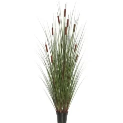 Kirkland's Home Potted Brown Cats Tails Grass, 48 In.- Trees & Topiaries
