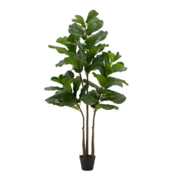Kirkland's Home Potted English Banjo Fig Tree- Trees & Topiaries