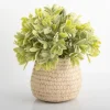 Kirkland's Home Potted Ery Arrangement In Ceramic Vase- Arrangements & Greenery