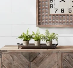 Kirkland's Home Potted Fern Arrangements, Set Of 3- Arrangements & Greenery