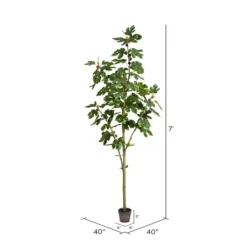 Kirkland's Home Potted Fig Tree, 7 Ft.- Trees & Topiaries