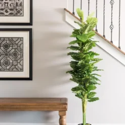 Kirkland's Home Potted Green Philodendron Tree- Trees & Topiaries